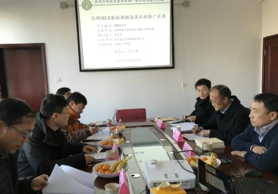 林業(yè)科技成果推廣項(xiàng)目：阻燃MUF膠黏劑制備技術(shù)的推廣應(yīng)用現(xiàn)場查定會 在盛大華源固安工廠盛大召開